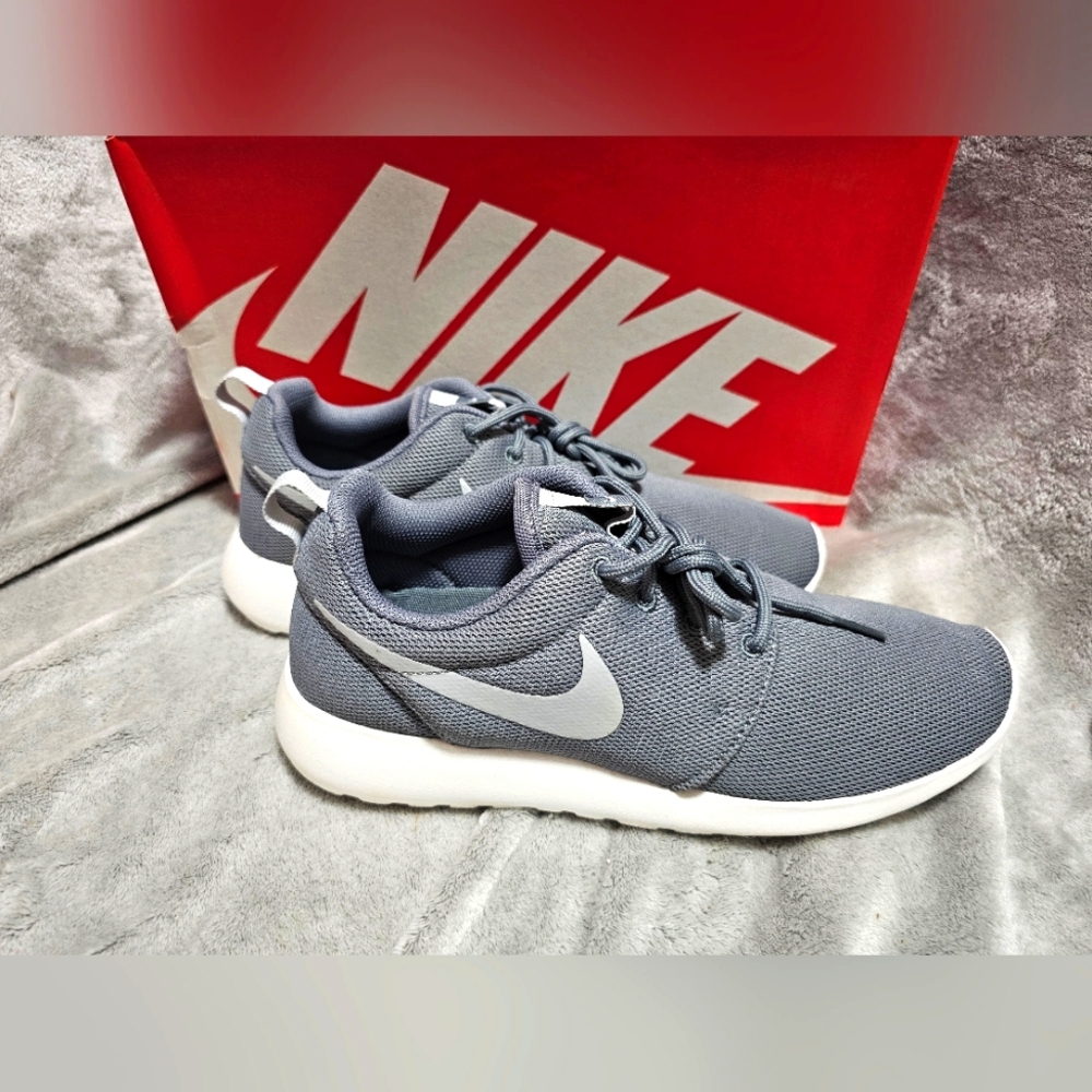 Nike Rosche One Cool Grey Pure Platinum NIB 844994 003 Womens 9